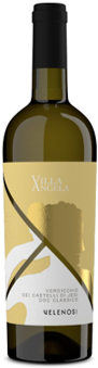 Querciantica Verdicchio dei Castelli di Jesi Doc Classico