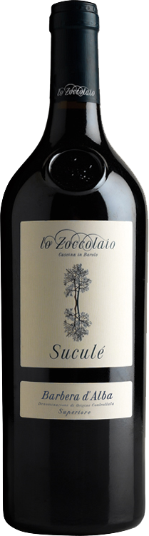 Barbera d'Alba DOC Superiore Suculè